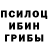 Галлюциногенные грибы Magic Shrooms ryu RB