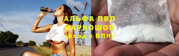прущие грибы Гусев