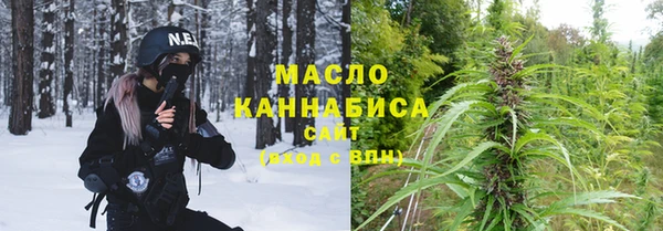 твердый Шадринск