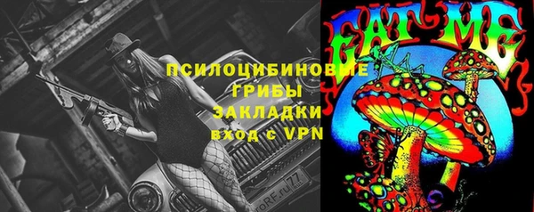 амф Горнозаводск