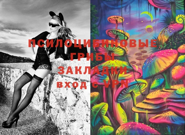 apvp Шали